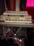 Farfisa