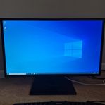 ASUS 24"