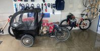 Elassisterad Lådcykel – För 4 barn & Familjeliv i rullni