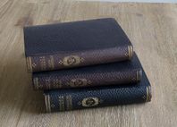 C Dickens - bl a Pickwickklubben, Lysande förhoppningar