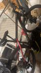 mountainbike wilier , triestina