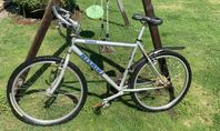 Mountainbike Nishiki Timbuk 26tum
