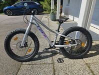 Trek Roscoe 20"