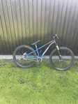 Specialized rockhopper dirt jumper