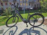 Batavus Altura Power+ 51