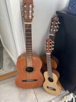 Gitarrer i olika
