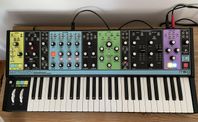 Moog Matriarch