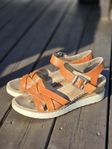 Rieker, ECCO, Skechers, vagabond