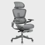 Hinomi H1 Pro Ergonomic Office Chair Grey