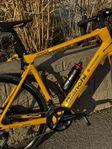 Team Rynkeby cykel 2024 Bianchi Infinito XE ultegra 11-del