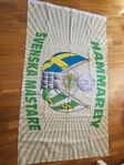 Hammarby flagga från 2001