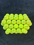 Gul Titleist mix 50 pack 