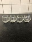 Presenttips 4 st Dooley's glas