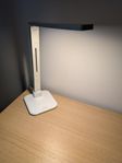 Diasonic LED Desk Lamp