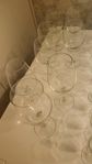 Champagneglas och vinglas