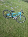 Cykel 24 Tum. 