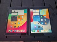 Apple iPad