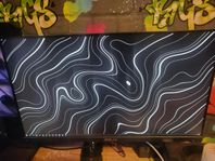 ASUS VG249 (24,5 tum inkl skärmfäste och original skärmf