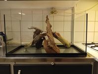 komplett akvarium 