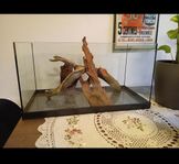 glasakvarium