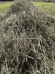 Hösilage