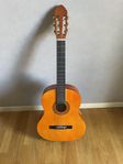 gitarr 