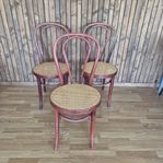 3 caféstolar i Thonet-stil, 1900-tal, 89*47 cm