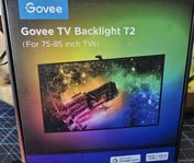 Govee T2