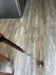 odyssey putter