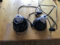 Fönsterlamper