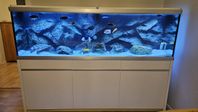 Akvarium Akvastabil Move 720 liter