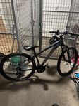 cykel - 