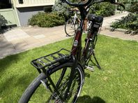 Elcykel Winter