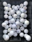 Golfbollar i bra bruksskick för avhämtning 