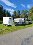 hästtransporter uthyres