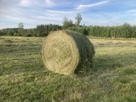 torrhö på rundbal