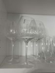 Eva solo glas 