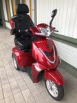 Leijona 1300+ Promenadskoter för året-runt bruk