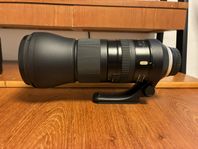 Tamron 150-600mm G2 Nikon