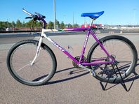 Giant Granite -90/91 helrenoverad klassiker 