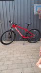 Specialized Rockhopper 29 tum