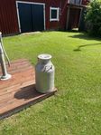 Gammal mjölkkanna