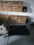 Hundbur