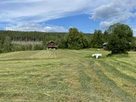 Tomt med potential - ca 2000 -2500m², ödehus och nära Sv
