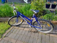 Citybike