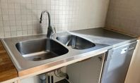 Diskho i rostfritt stål