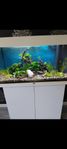 akvarium juwel rio 125