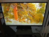 Philips 50" LCD TV.