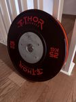 Viktskivor 240kg