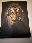 Tigertavla